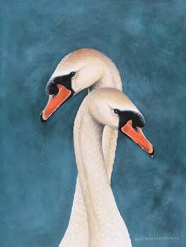 2 Swan Heads